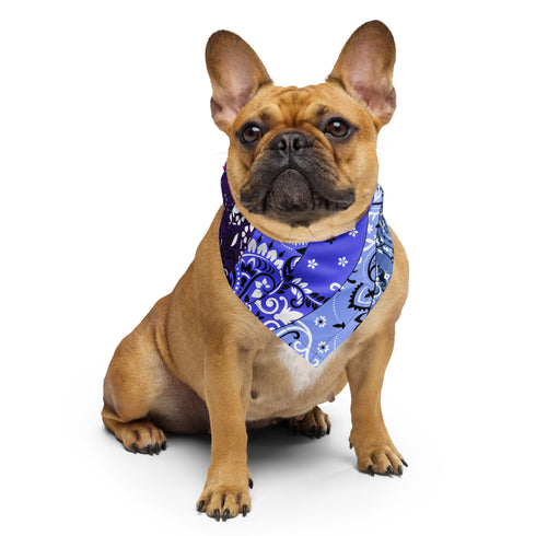 Omnisexual Pride Waves Bandana